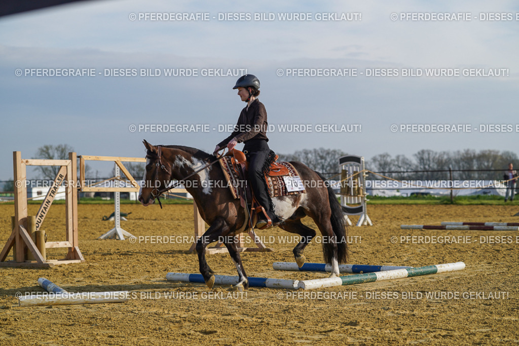 DSC00756 | Pferdegrafie