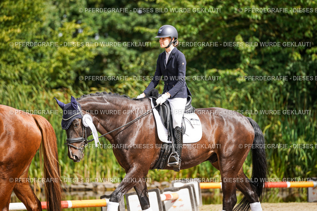 DSC02451 | Pferdegrafie