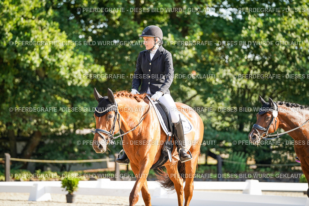 DSC09139 | Pferdegrafie