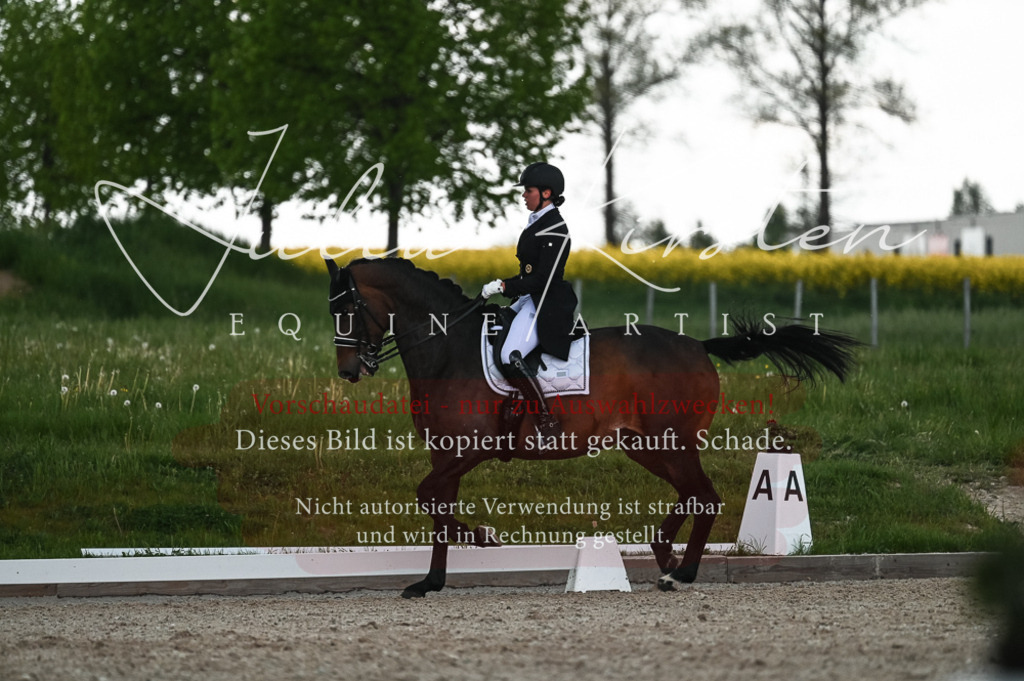20230514_JK-Röhrsdorf-21-505 | Pferde- und Turnierfotografie in Westsachsen. Pferdeportraits, Auftragszeichnungen und intuitive Kunst.