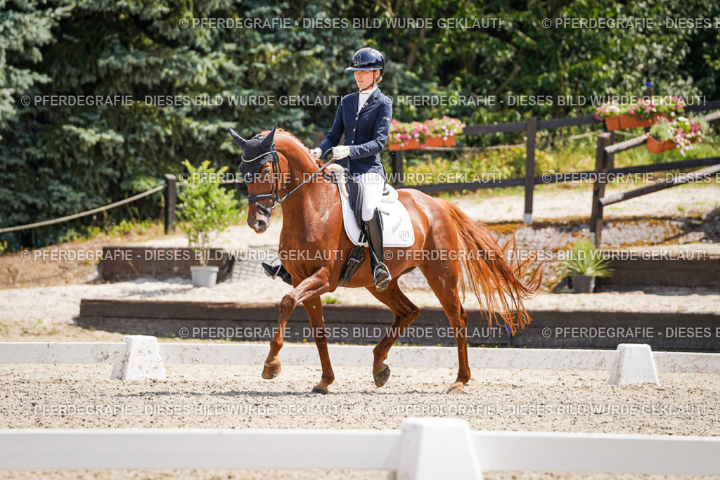 DSC01010 | Pferdegrafie