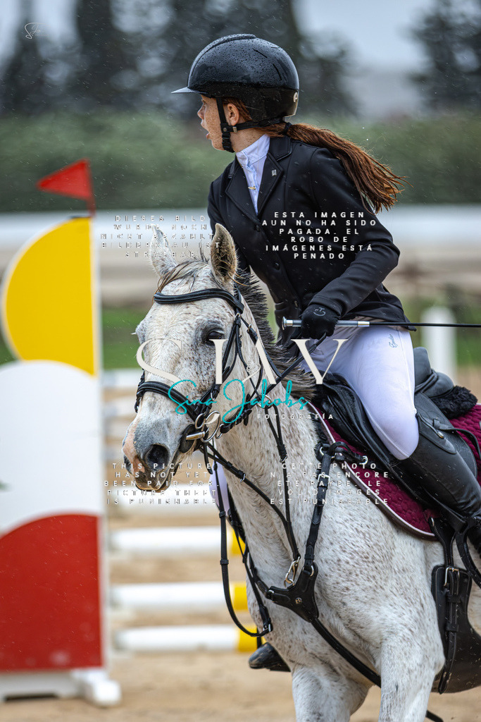 IMG_1540-Verbessert-RR | s-jay-photography - Realisiert mit Pictrs.com