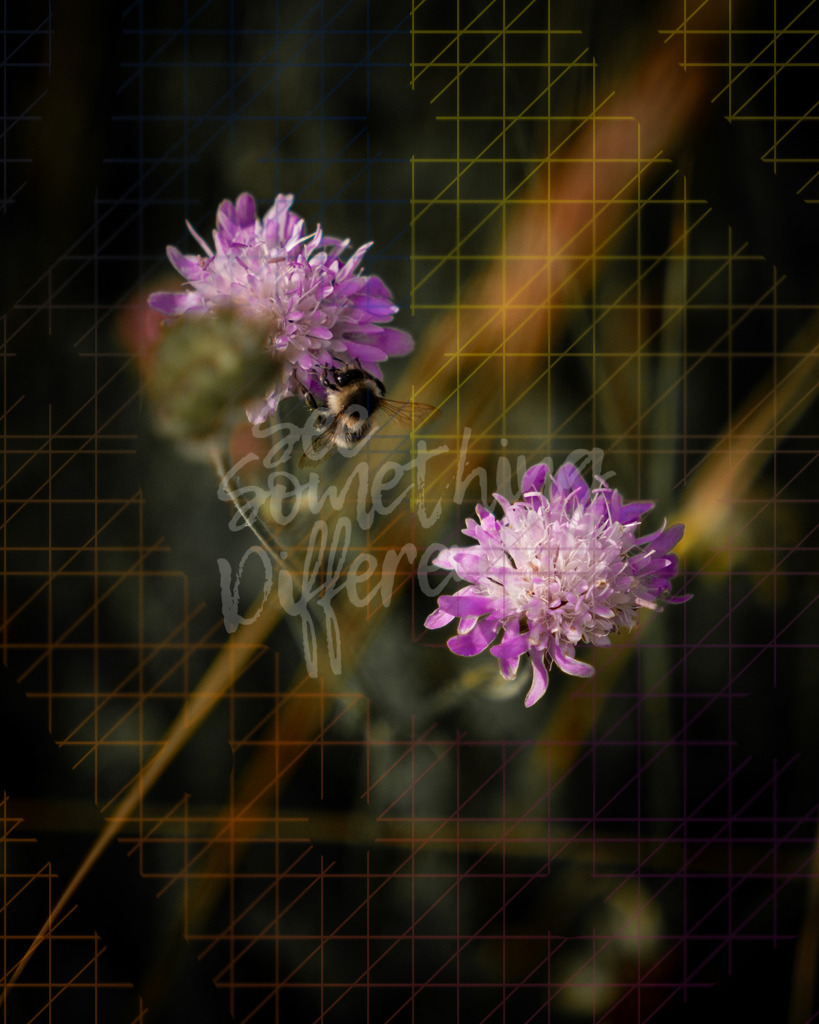XE5G0030 | See something different - Realisiert mit Pictrs.com