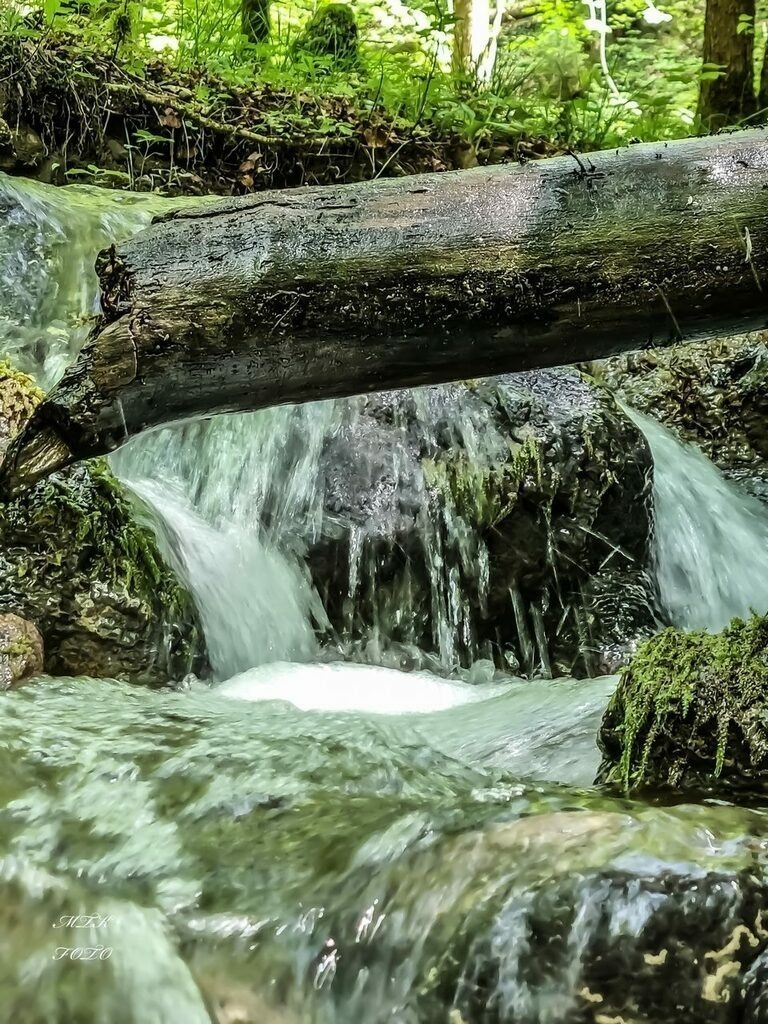 PSX_20210612_220048 | mtkfoto_ - Realisiert mit Pictrs.com