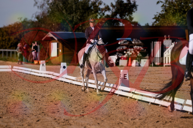 2026_10_03_Siefer-Hof_122837_Z81_27654906 | Professionelle Reitsport-, Turnier- und Eventfotografie von Robert Broda. Galerien mit ausgewählten und bearbeiteten Bildern direkt online ansehen und bestellen.