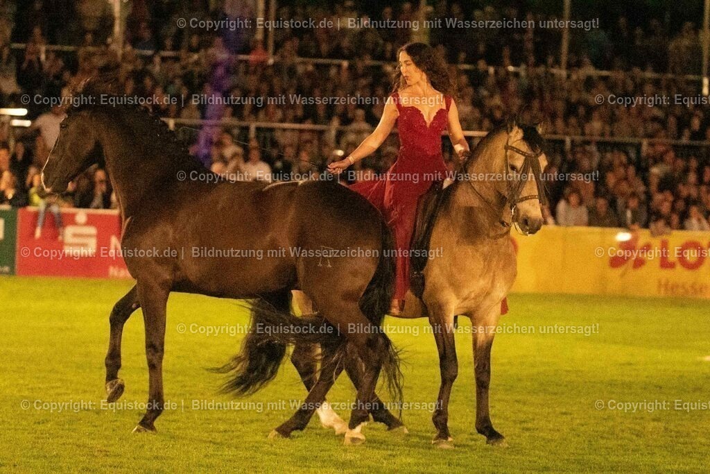 20230526_Pferdenacht_1433 | equistock