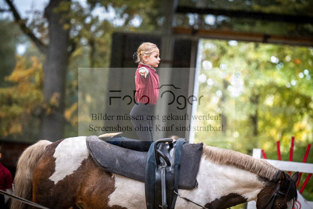 DOS_0194 | Entdecke hochwertige Reitturnierfotos von Foto Oger. Professionell, emotional und authentisch – jetzt Lieblingsmomente im Shop bestellen.Deutschlandweite Turnierfotografie. - Realisiert mit Pictrs.com
