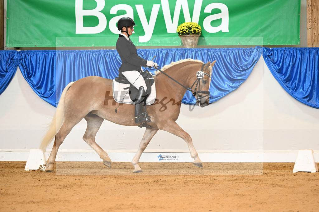 Kat-Nr. 234 Oh la la ZGH_ZG Hofer_54221655 | hf-fotografie - Realisiert mit Pictrs.com