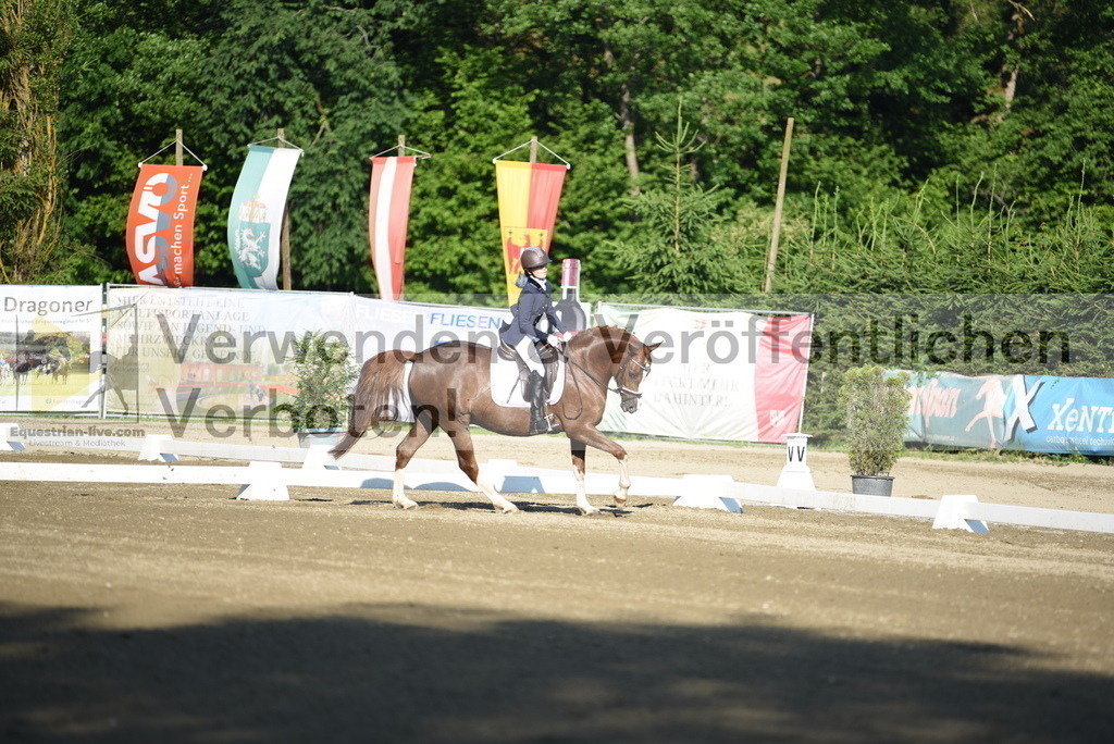 DSC_6788 | equestrian-live-com