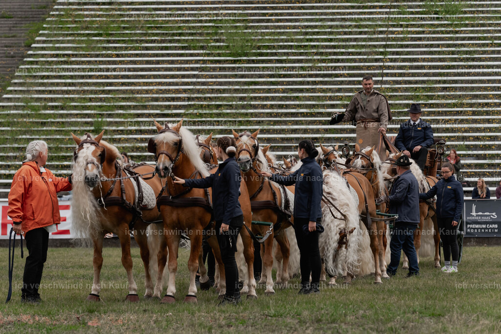 Showprogramm-166 | working equitationturnier fotograf videograf stoibphotography marixx film working equitation deutschland reitsport turnierfotografie eventfotografie equestrian events