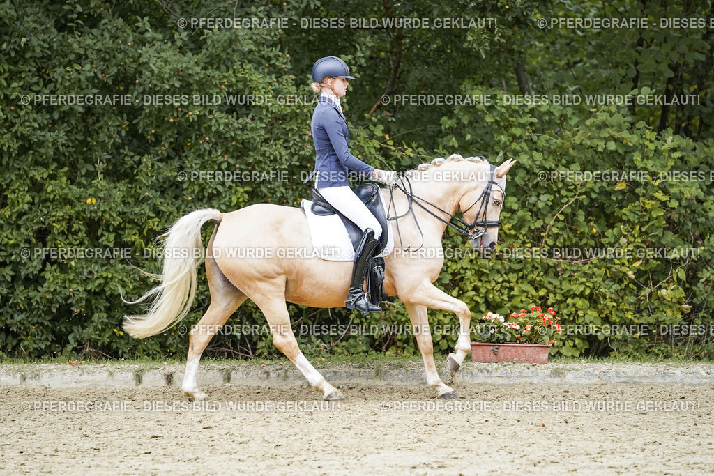 DSC07602 | Pferdegrafie