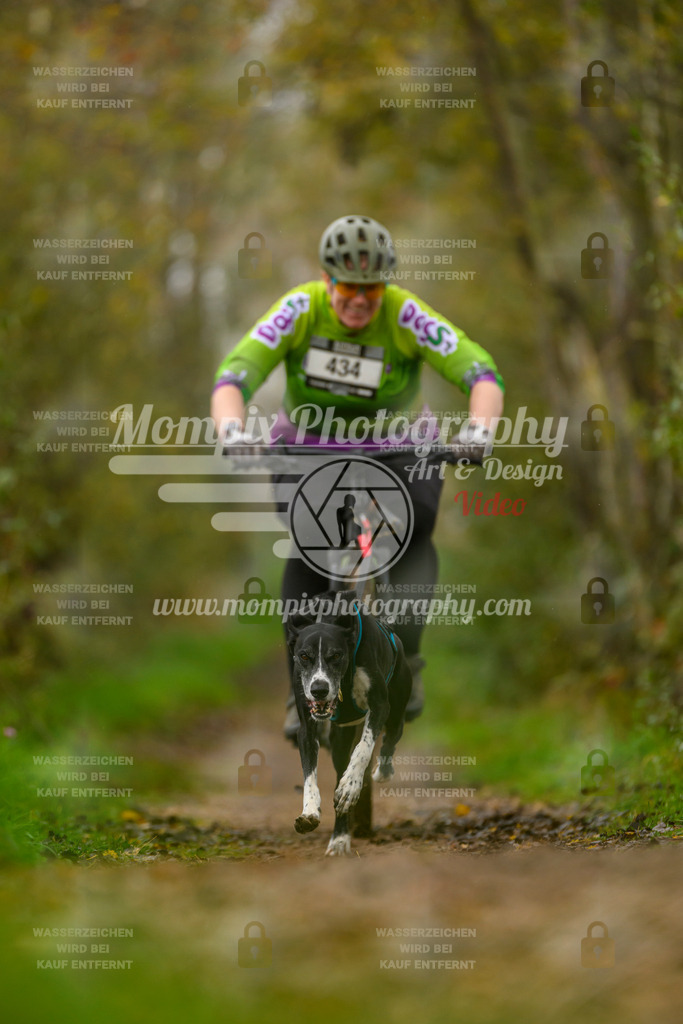 MompixPhotography_20TSB_E6_Bike-144 | PayLife