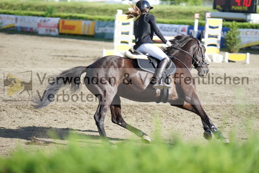 DSC05528 | equestrian-live-com
