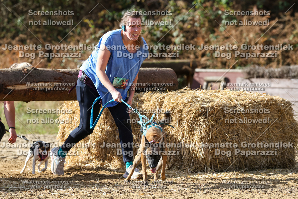 Dog Paparazzi - Strongdog 10-25-5464 | Dog Paparazzi Jeanette Grottendiek Fotografie & Videografie - Realisiert mit Pictrs.com