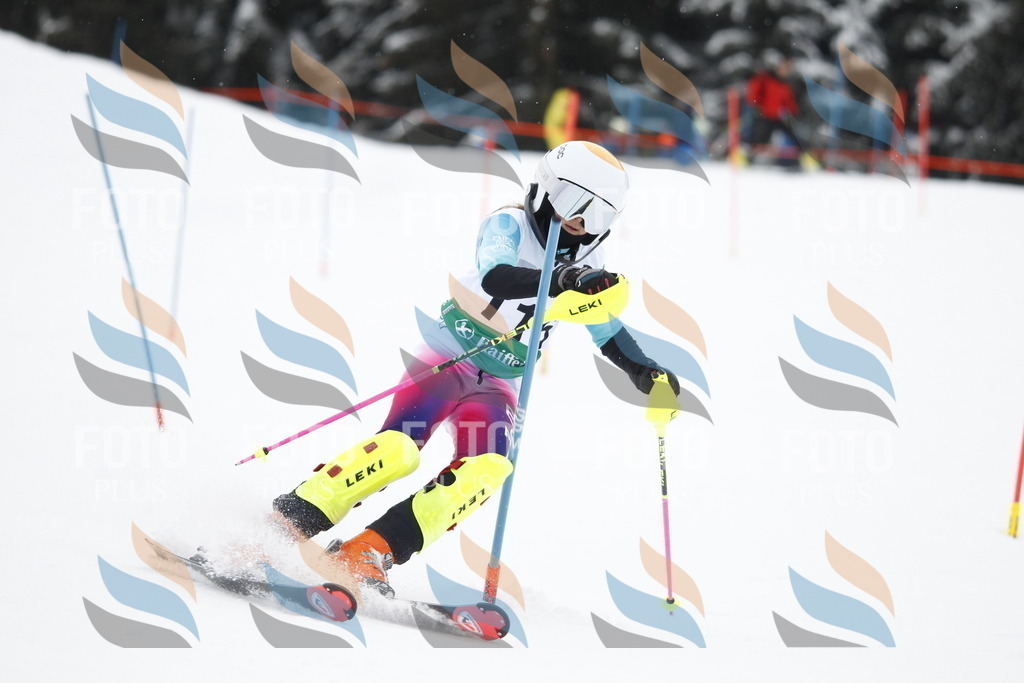 A1488 | holidayphoto