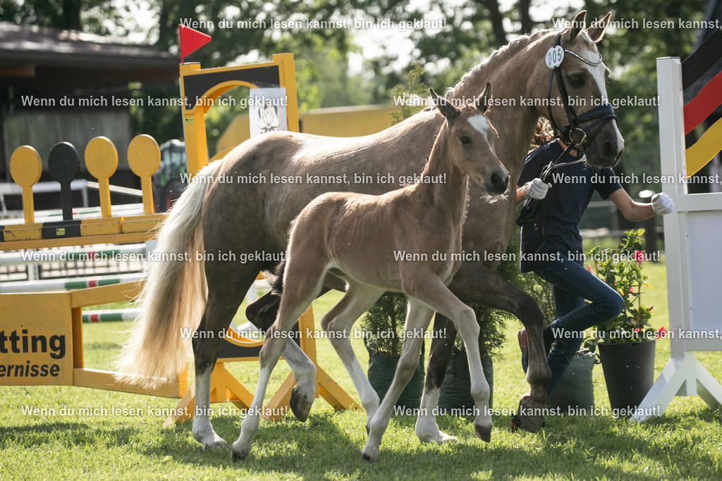 598A6980 | photographylinaismer - Realisiert mit Pictrs.com
