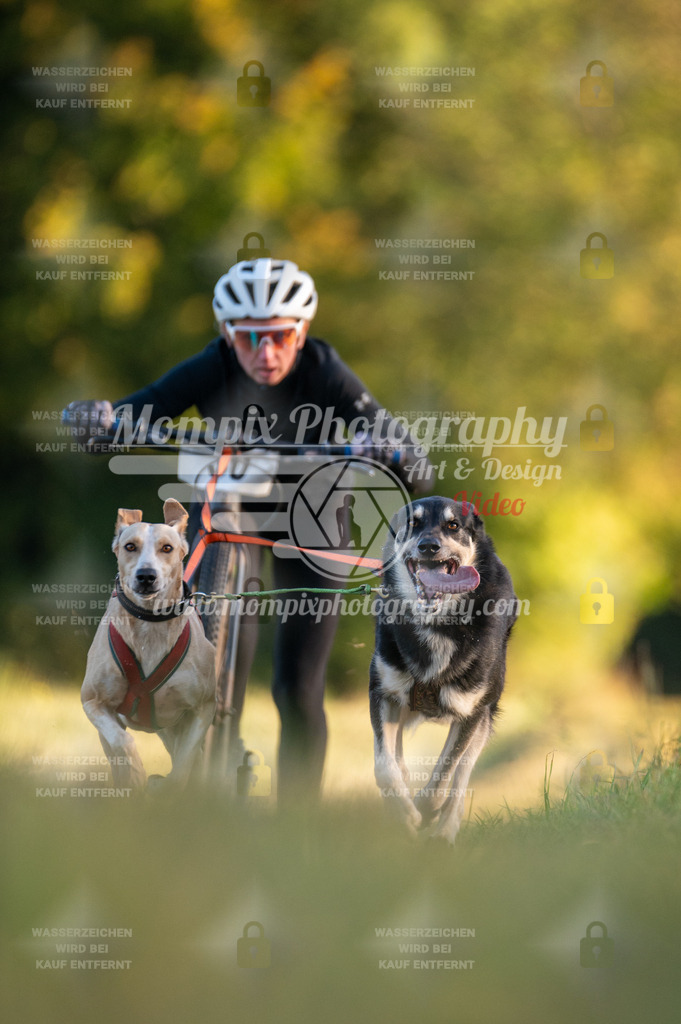 CDLBDB_15_10_2023_Dimanche-64 | mompixphotography