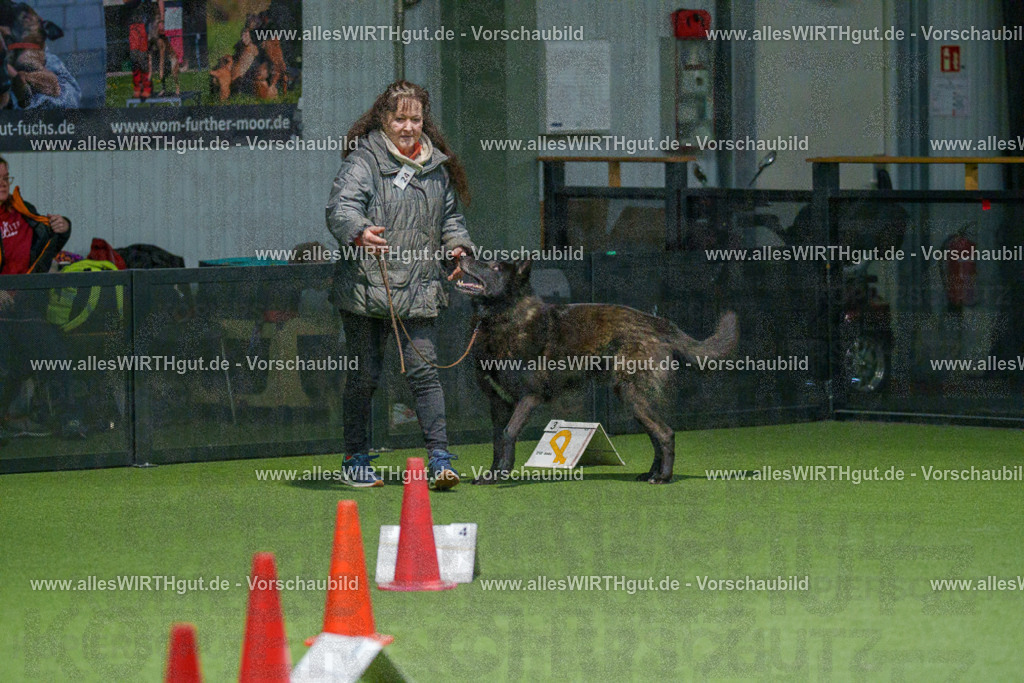 7R504959 | Professionelle Tierfotografie in Mönchengladbach von Daniel Wirth (allesWIRTHgut). Liebevolle & natürliche Bilder von Hunden & Katzen für unvergessliche Erinnerungen.