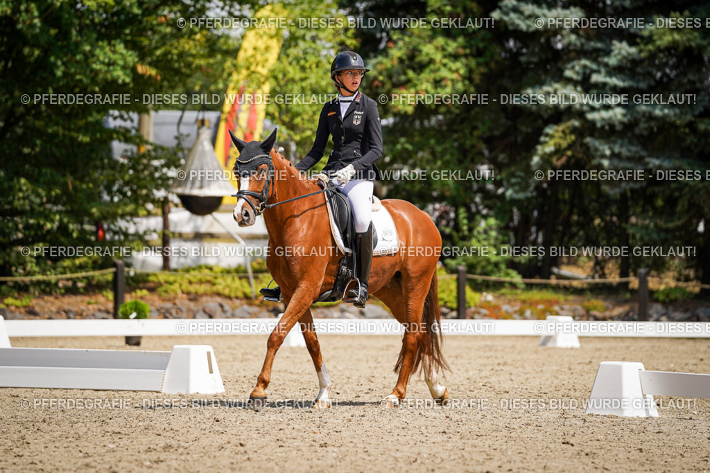 DSC00809 | Pferdegrafie