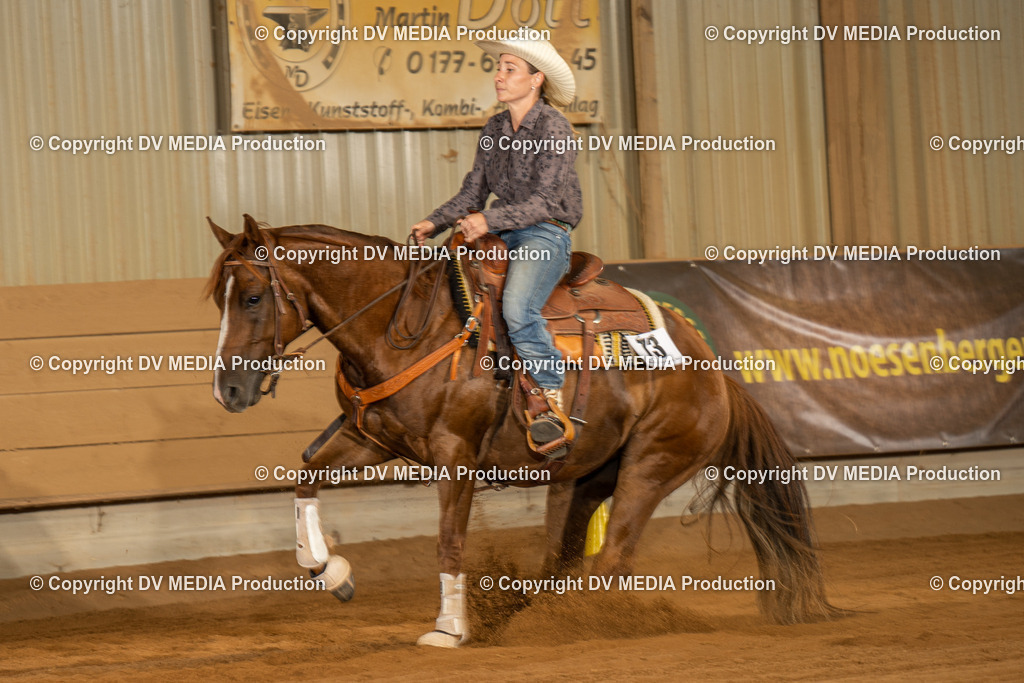 NID02291 | dv-media-shop - Realisiert mit Pictrs.com