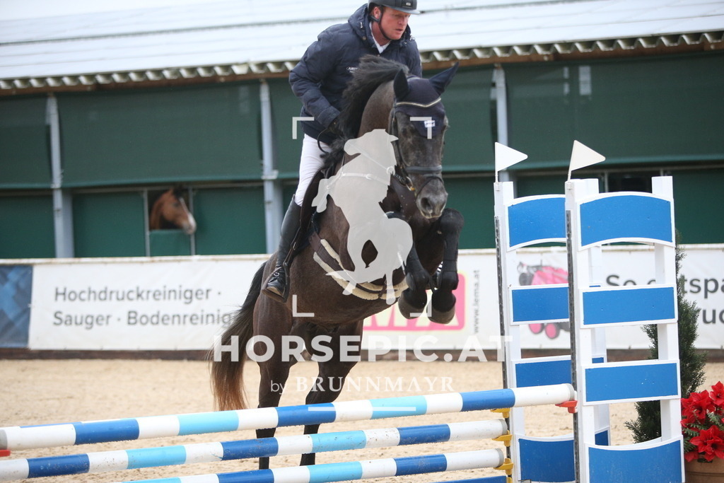 AS8V0654 | Willkommen bei Brunnmayr - Design & Fotografie – Ihrem Spezialisten für Reitturniere und Pferdeveranstaltungen in Oberösterreich, Salzburg und Bayern! Seit über 17 Jahren sind wir leidenschaftlich dabei.