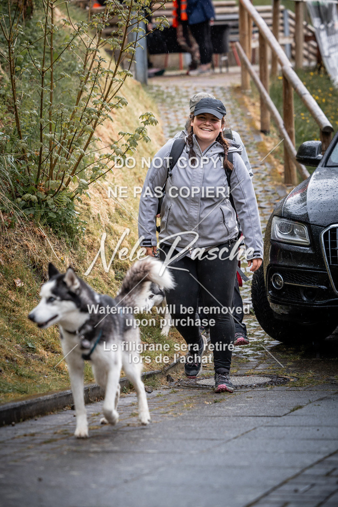 nelerasche_SaAbends_390 | nelerasche