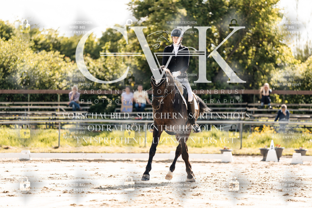 CK909227 | Turnierfotografie Pferdefotografie Trier Rheinland-Pfalz Pferdesport Reitsport Tierfotografie Sportfotografie Pferdevideo Pferdevideografie Equestrianvideography equestrianphotography  - Realisiert mit Pictrs.com