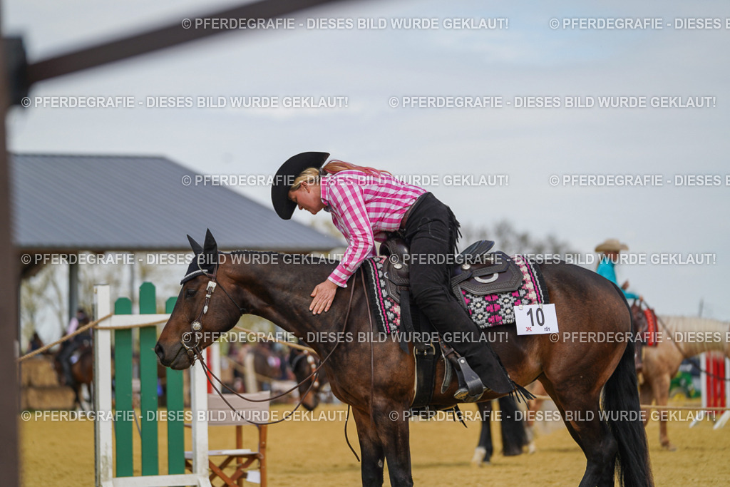 DSC05241 | Pferdegrafie