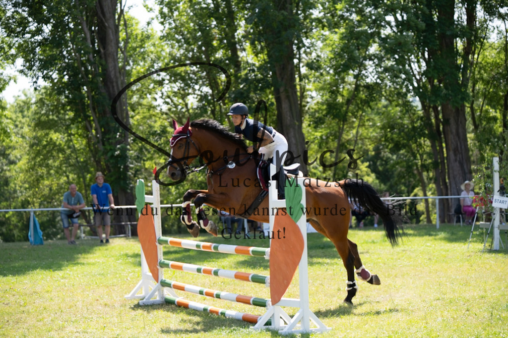 A7V06380 | Pferdefotograf