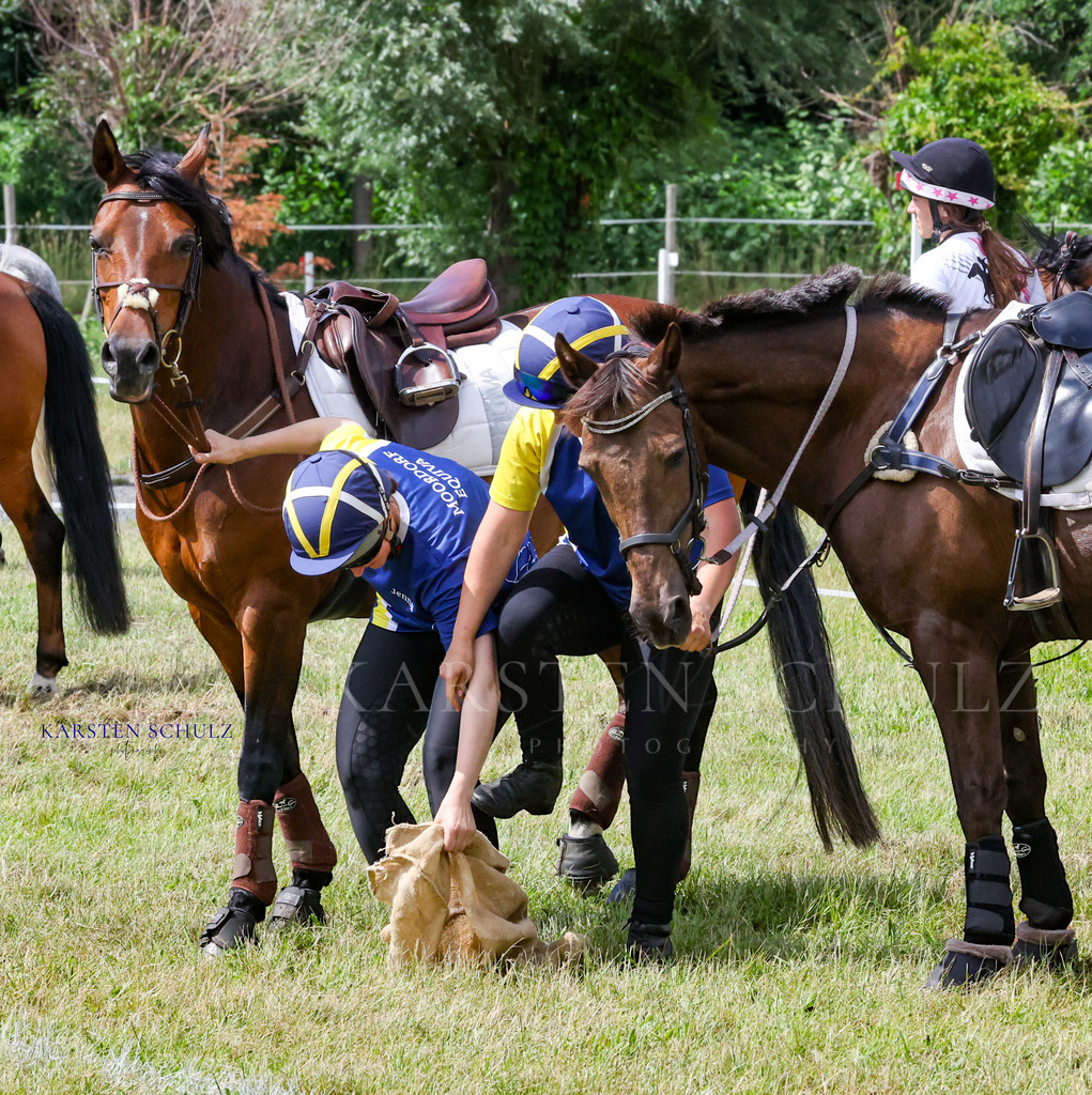 1B3A4637 | Reitsport Reiten