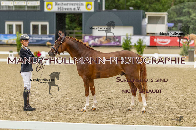 Finale LT 26 (1423 von 2370) | mandyhollmannphotographie