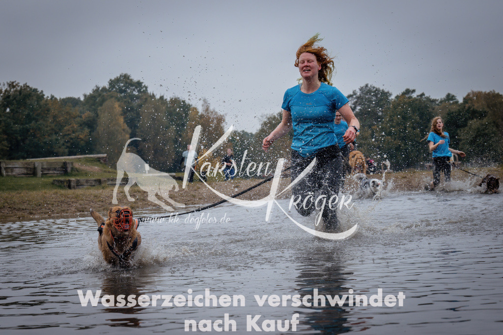1209_ZZ98373 | kk-dogfotos