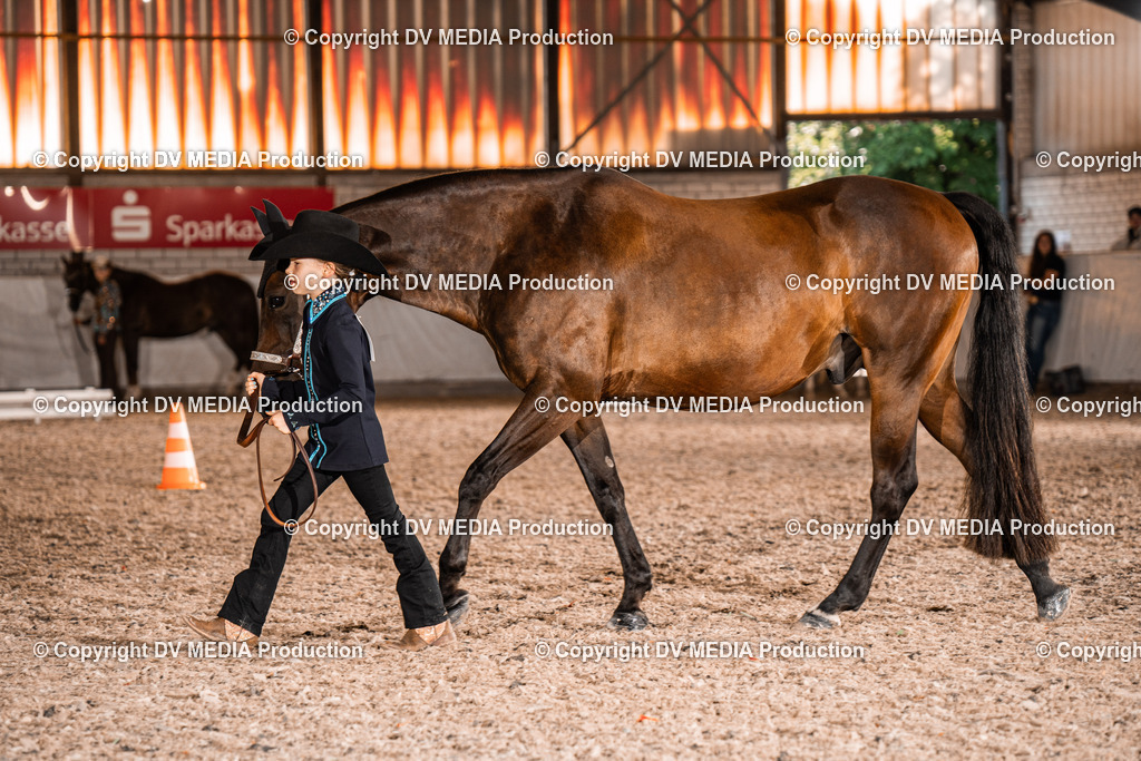 ZH100043 | dv-media-shop - Realisiert mit Pictrs.com