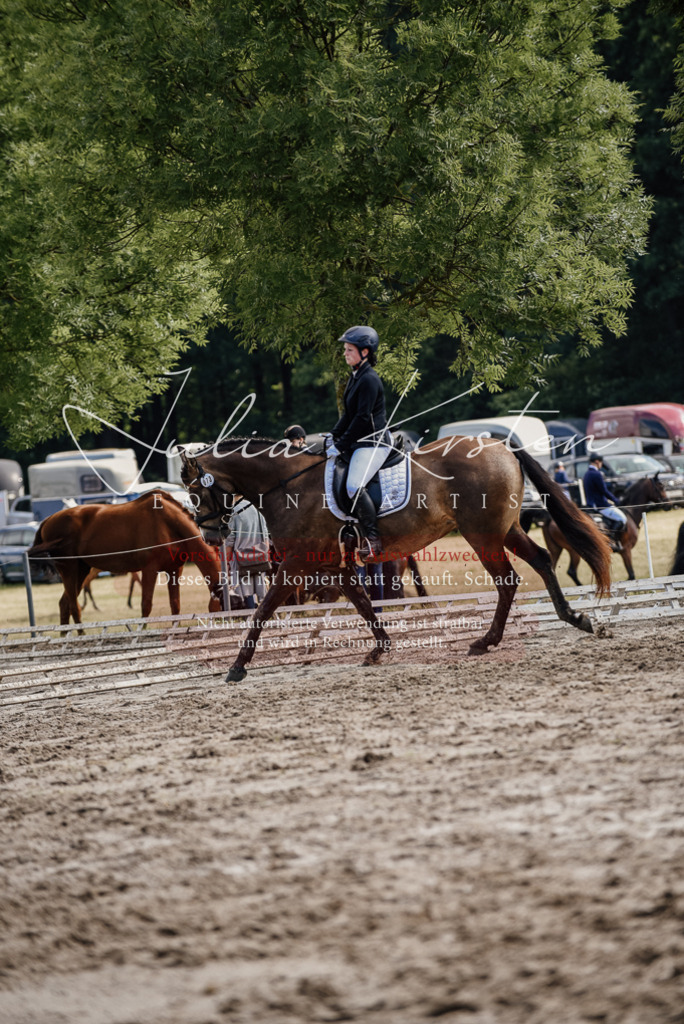 DSC_9303 | Pferde- und Turnierfotografie in Westsachsen. Pferdeportraits, Auftragszeichnungen und intuitive Kunst.