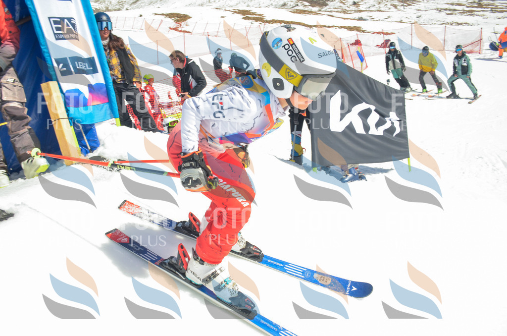 _ELE5893 | holidayphoto