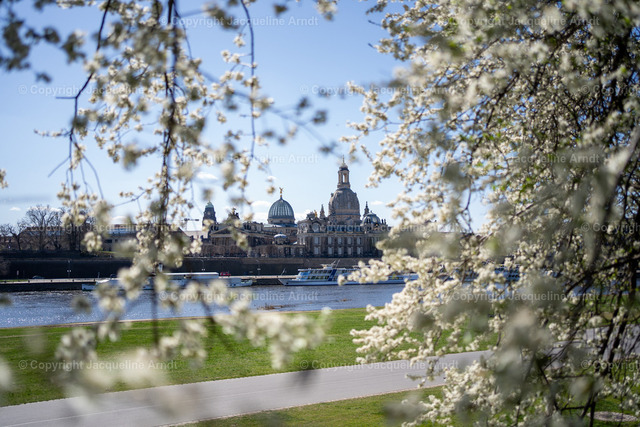 Dresden_Frühling | Fotografie Photography Dresden Photoshooting  Fotoshooting Fotografin Dresdencity Bilder  Foto Dresdenvideos Kalender Postkarten Bilderdownload Portrait Hochzeitsfotografie Familienfotos Bewerbungsbilder Studiofotografie Fotograf Dresdenbilder Business - Realisiert mit Pictrs.com