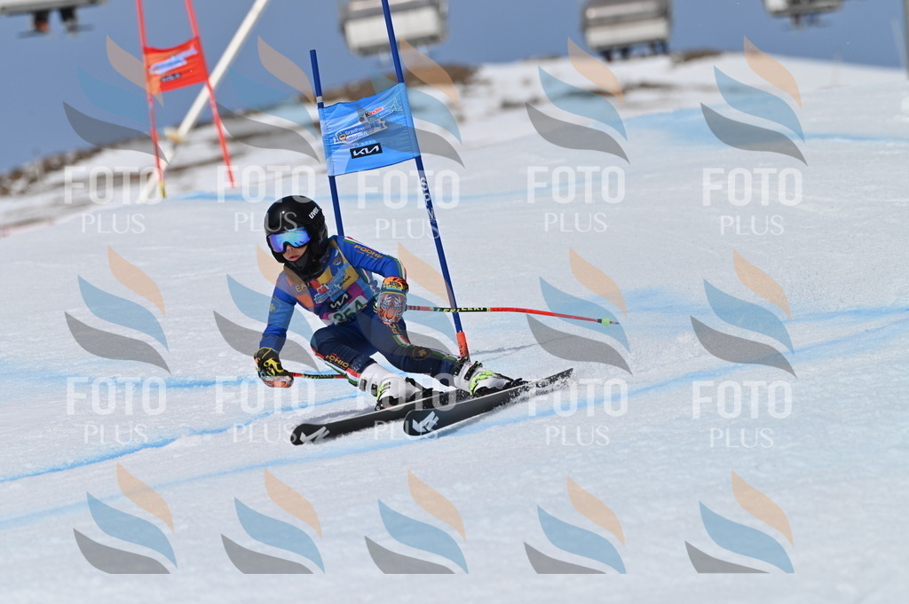 BGV_6985 | holidayphoto