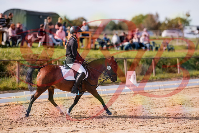2026_10_03_Siefer-Hof_120702_Z81_08472988 | Professionelle Reitsport-, Turnier- und Eventfotografie von Robert Broda. Galerien mit ausgewählten und bearbeiteten Bildern direkt online ansehen und bestellen.