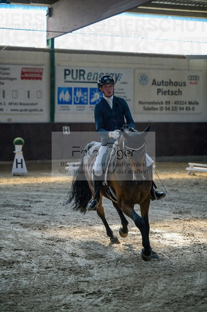 Reitturnier Voxtrup | Entdecke hochwertige Reitturnierfotos von Foto Oger. Professionell, emotional und authentisch – jetzt Lieblingsmomente im Shop bestellen.Deutschlandweite Turnierfotografie. - Realisiert mit Pictrs.com