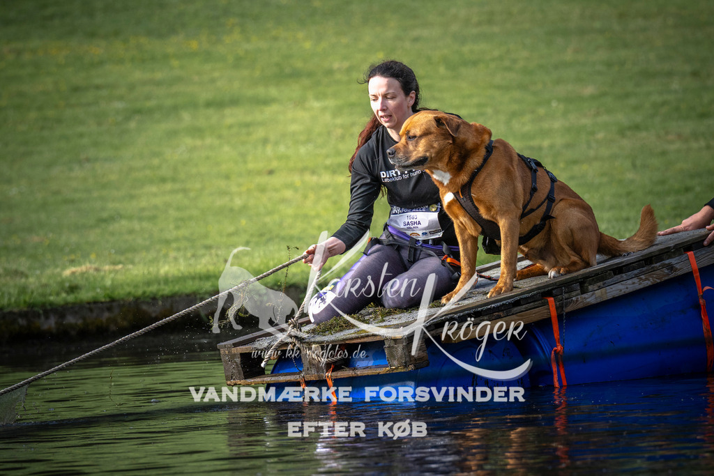 _ZZ943230714 | kk-dogfotos