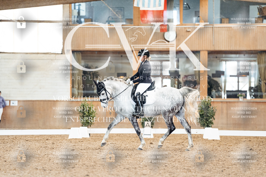 CK909610 | Turnierfotografie Pferdefotografie Trier Rheinland-Pfalz Pferdesport Reitsport Tierfotografie Sportfotografie Pferdevideo Pferdevideografie Equestrianvideography equestrianphotography  - Realisiert mit Pictrs.com