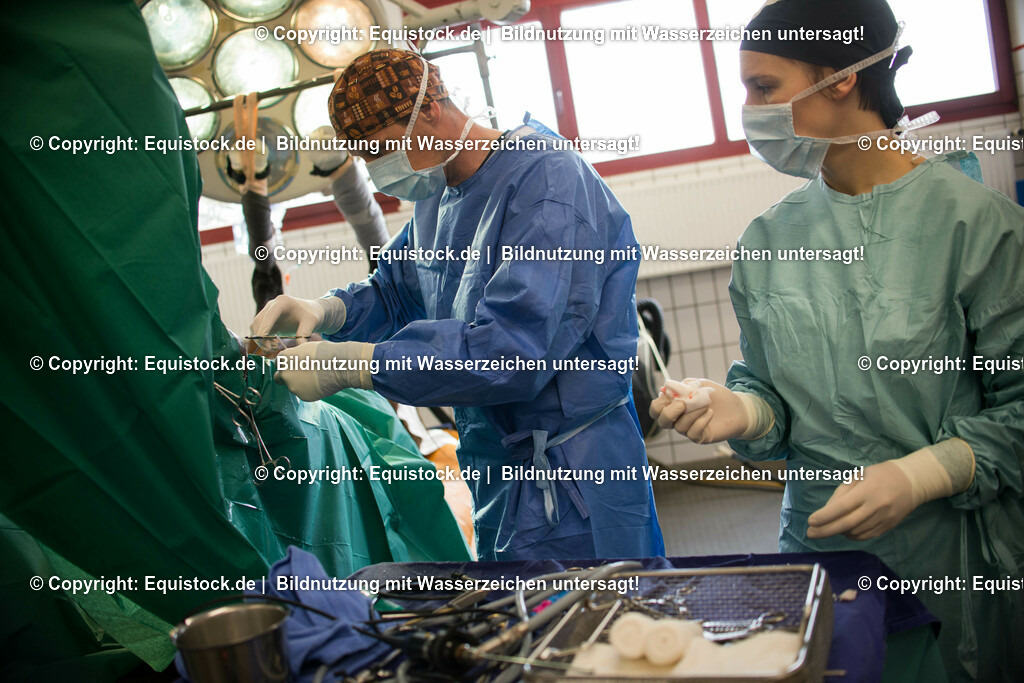 20160315_Arthroskopie_0060 | equistock