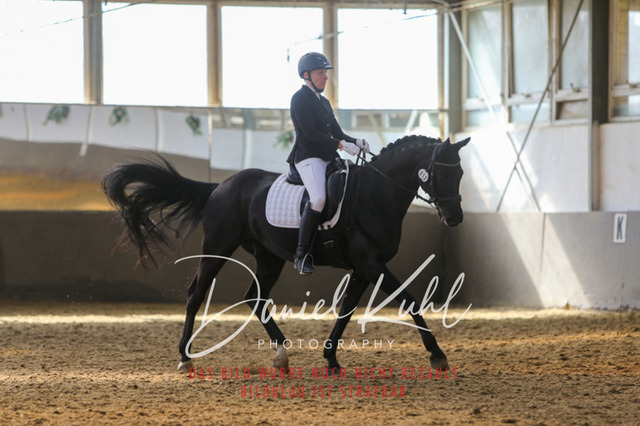 IMG_2500 | Turniersportfotografie; Pferdefotografie; Dressurfotografie