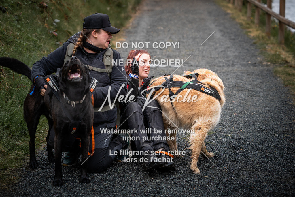 nelerasche_SaAbends_342 | nelerasche