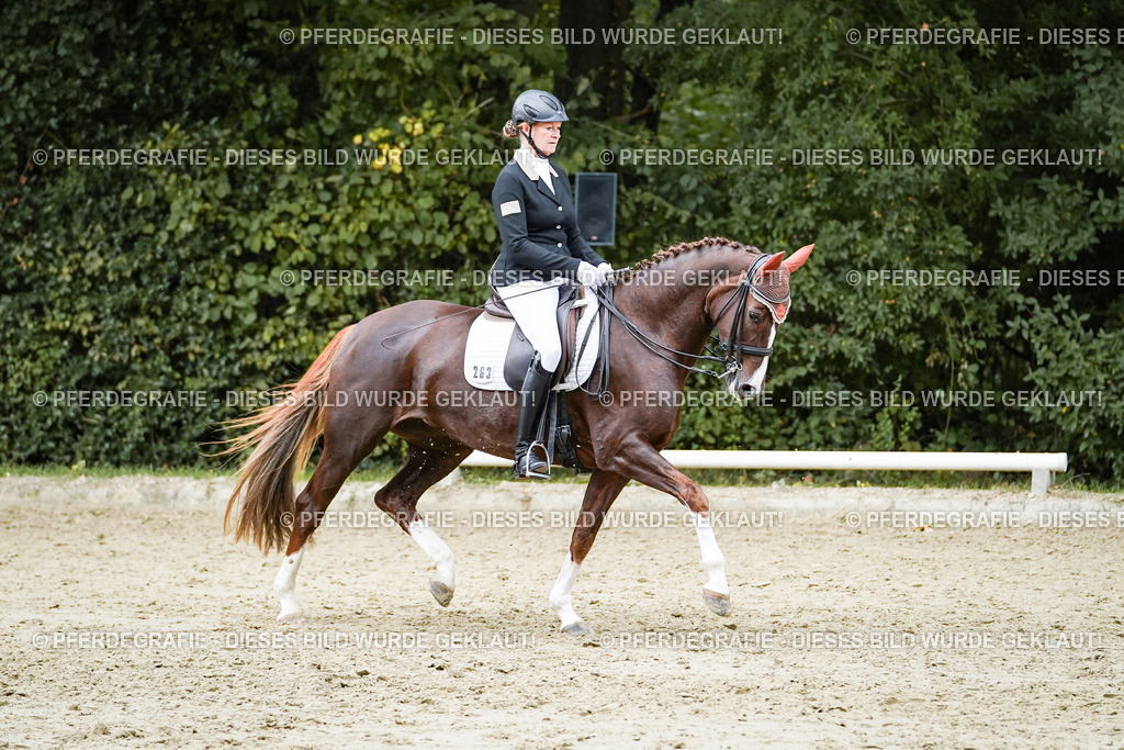 DSC06768 | Pferdegrafie