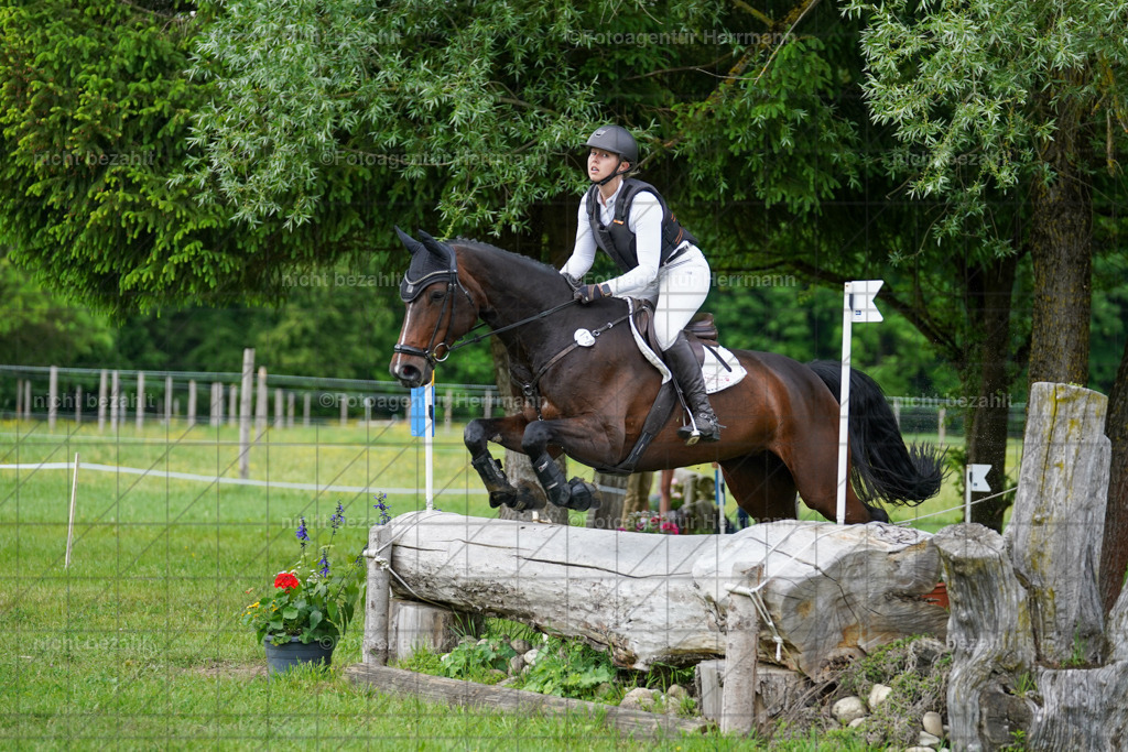 20240518-FAH04226 | Turnierbilder von Niederseon, Turnierfotografen Bayern, Fotoagentur Herrmann, Geländebilder, Reitsportfotografie