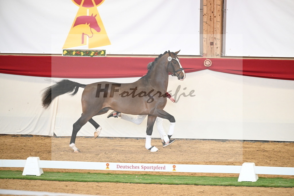 Kat.-Nr. 69 v. Glamourdale_Reichert_2250503 | hf-fotografie - Realisiert mit Pictrs.com