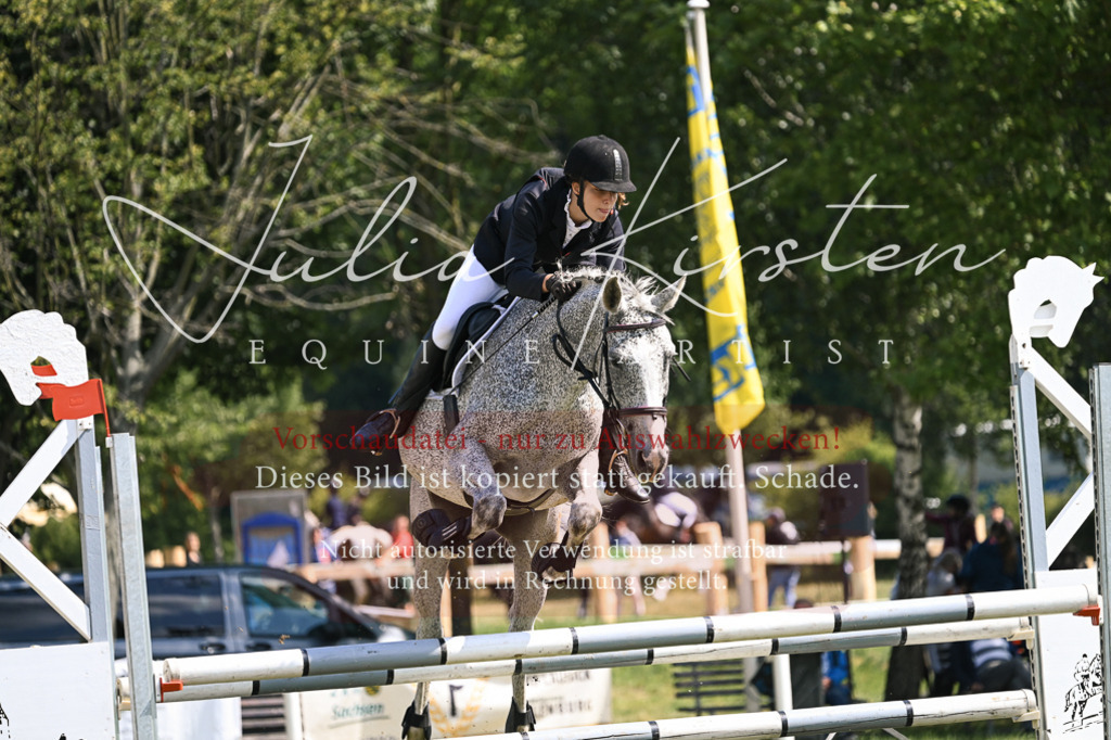 DSC_8990 | Pferde- und Turnierfotografie in Westsachsen. Pferdeportraits, Auftragszeichnungen und intuitive Kunst.