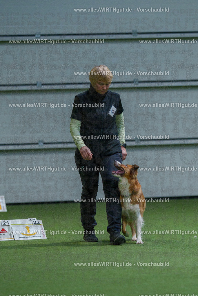 7R500752 | Professionelle Tierfotografie in Mönchengladbach von Daniel Wirth (allesWIRTHgut). Liebevolle & natürliche Bilder von Hunden & Katzen für unvergessliche Erinnerungen.