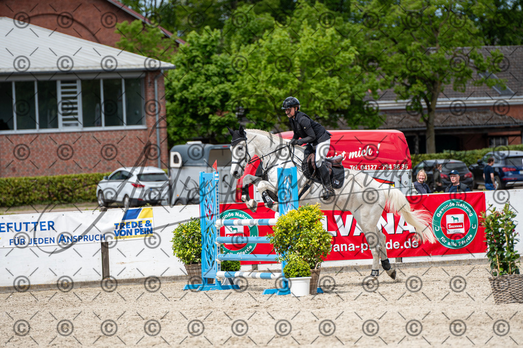 KPT_5795 | andre_photographic